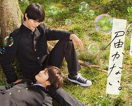 贵阳优化网站技术公司